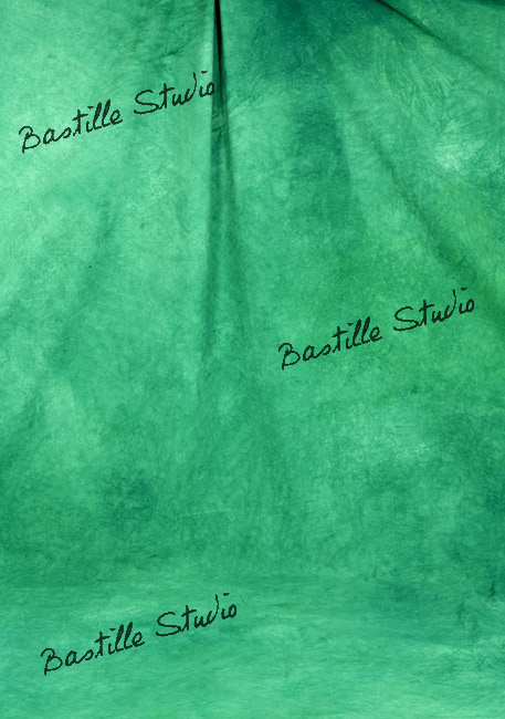 0263-5.9x5.8 m studio bastille