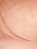 S-0166-6x4 m
