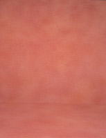 OR-0252-6x4. m