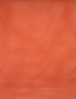 OR-0280-5.8x4.3m