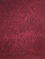 0309-5.7x4m