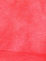 OR-0311-5.8x4 m